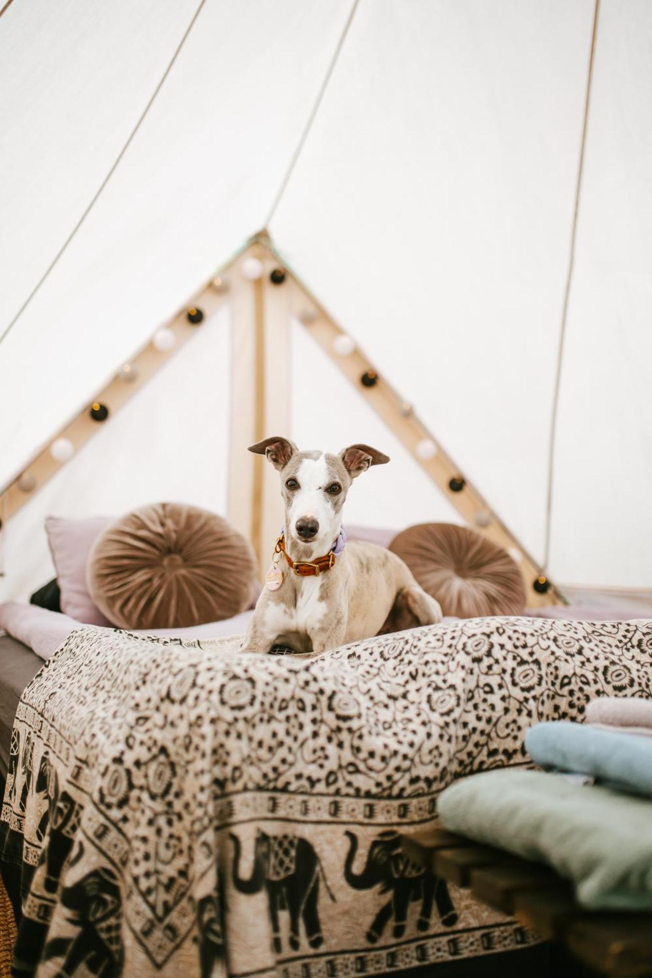 Готель Vaettervy Glamping Habo Екстер'єр фото